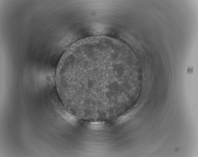 X0000094820240200711301636