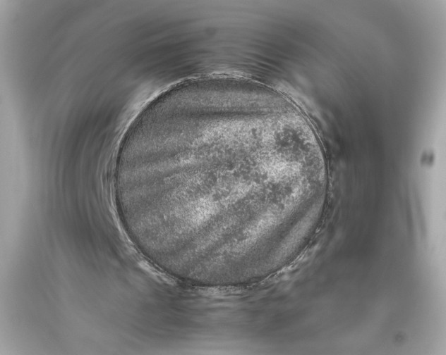 X0000094820241200711301636