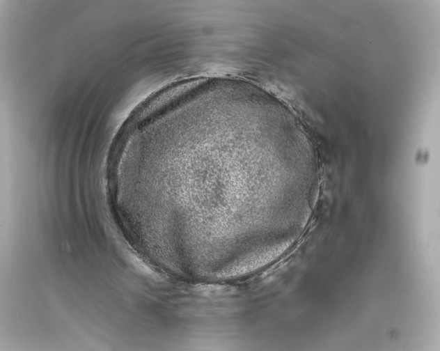 X0000094820242200711301636