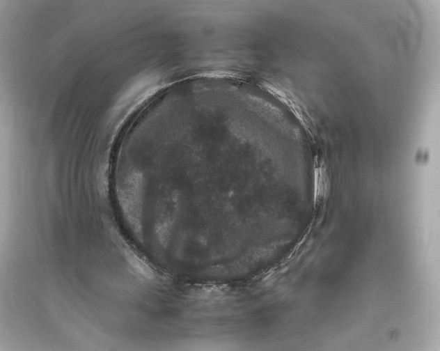 X0000094820243200711301636