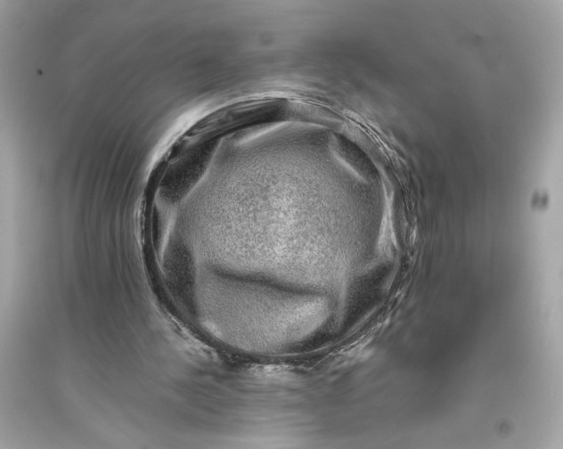 X0000094820244200711301636