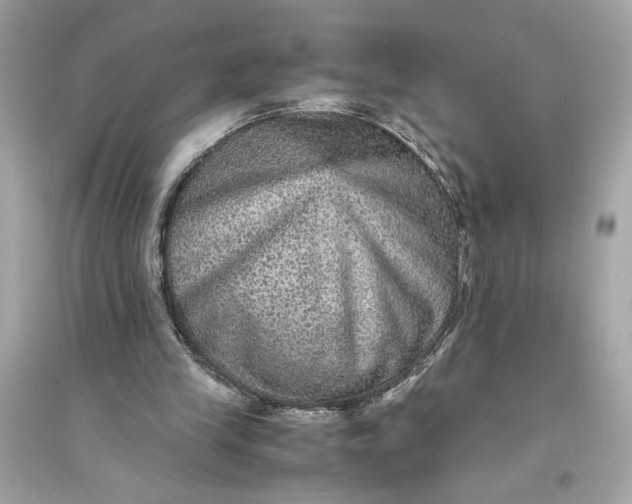 X0000094820245200711301636