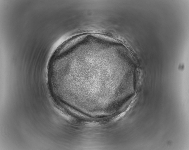 X0000094820246200711301636