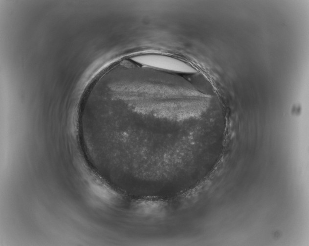 X0000094820247200711301636