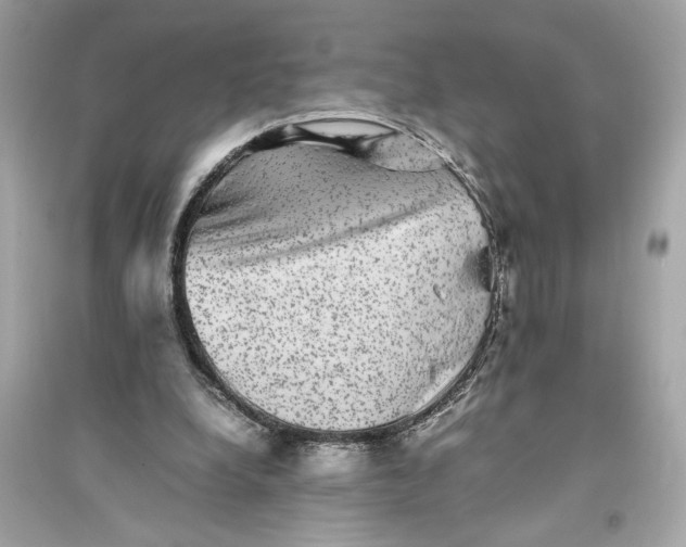 X0000094820248200711301636