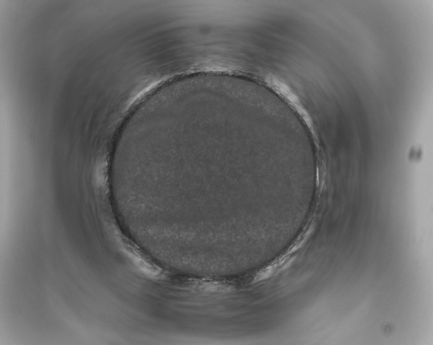 X0000094820249200711301636