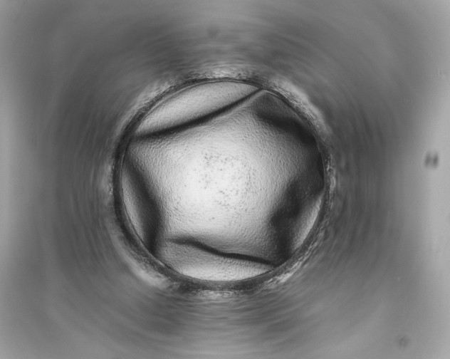 X0000094820250200711301636