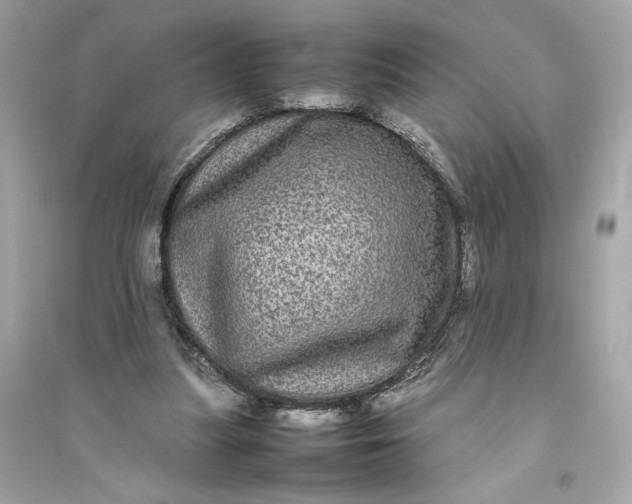 X0000094820251200711301636