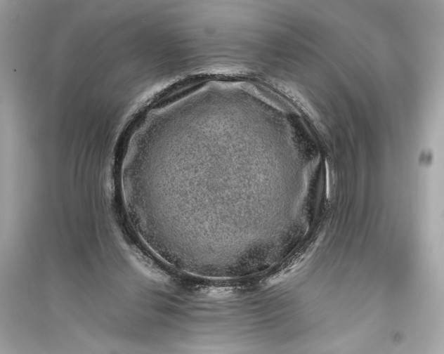 X0000094820252200711301636