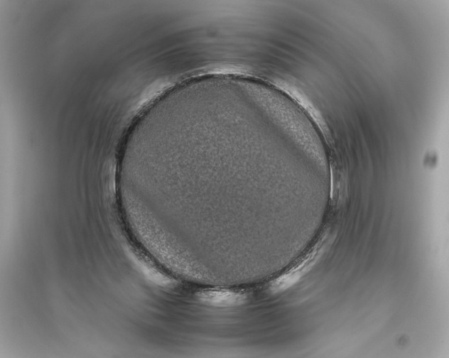 X0000094820253200711301636