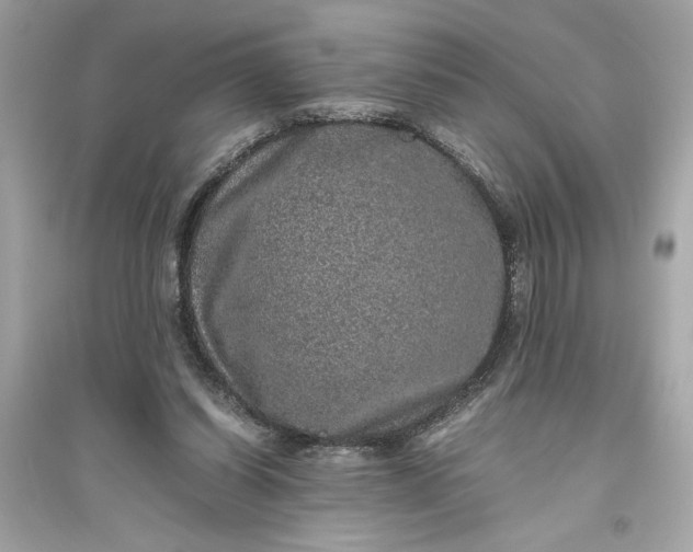 X0000094820254200711301636