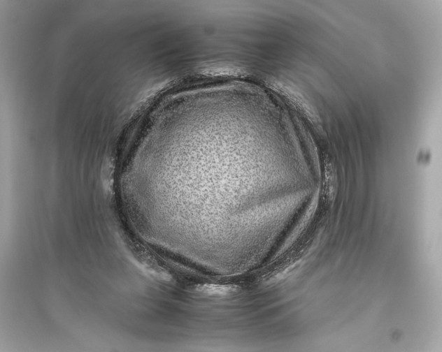 X0000094820255200711301636