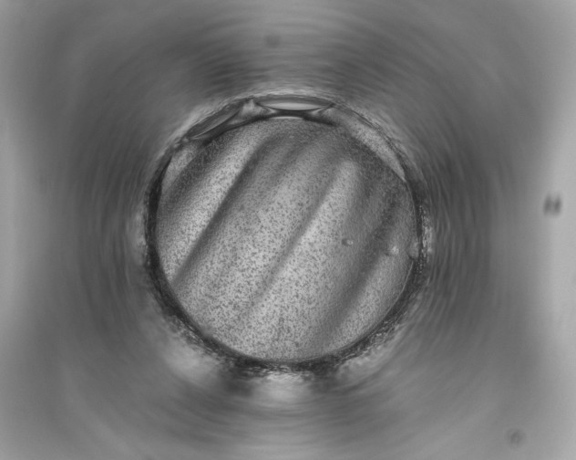 X0000094820256200711301636