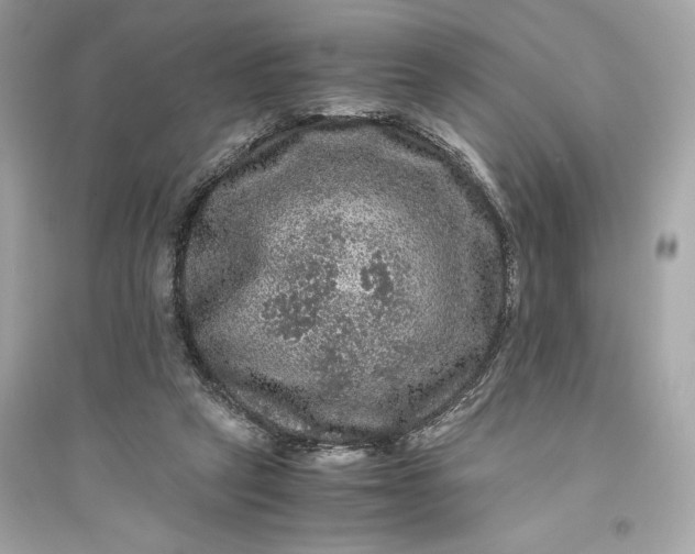 X0000094820257200711301636