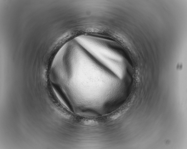 X0000094820258200711301636