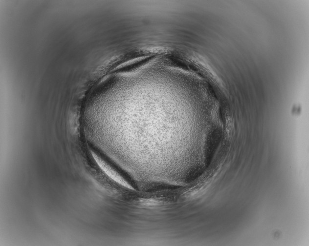 X0000094820259200711301636