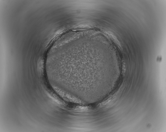 X0000094820260200711301636