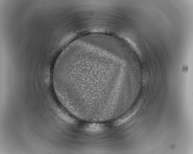 X0000094820261200711301636