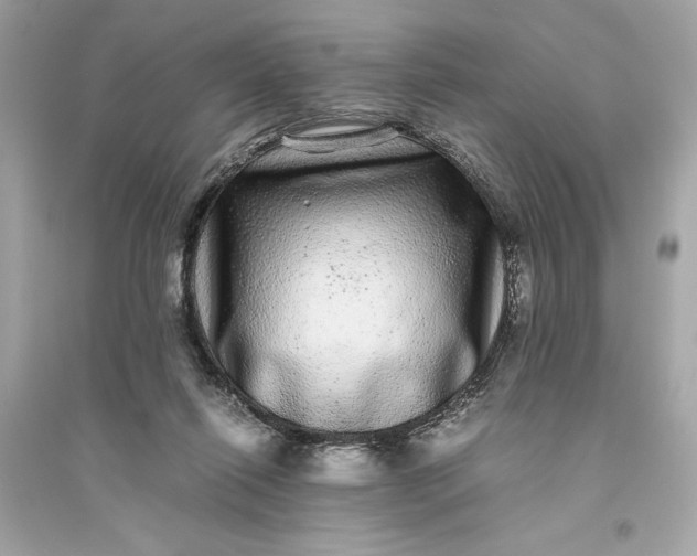 X0000094820262200711301636