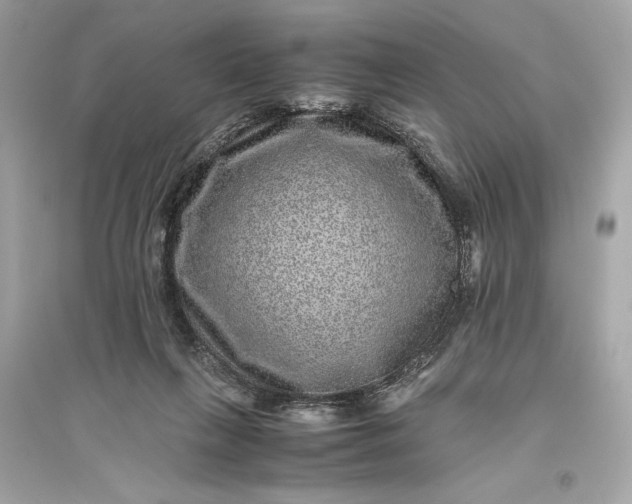 X0000094820263200711301636