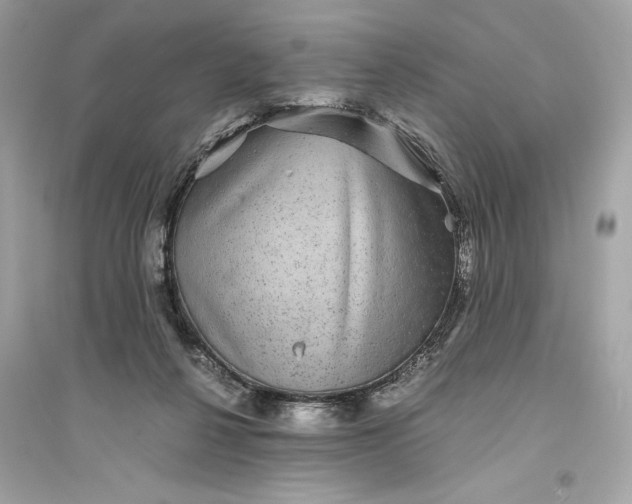 X0000094820264200711301636