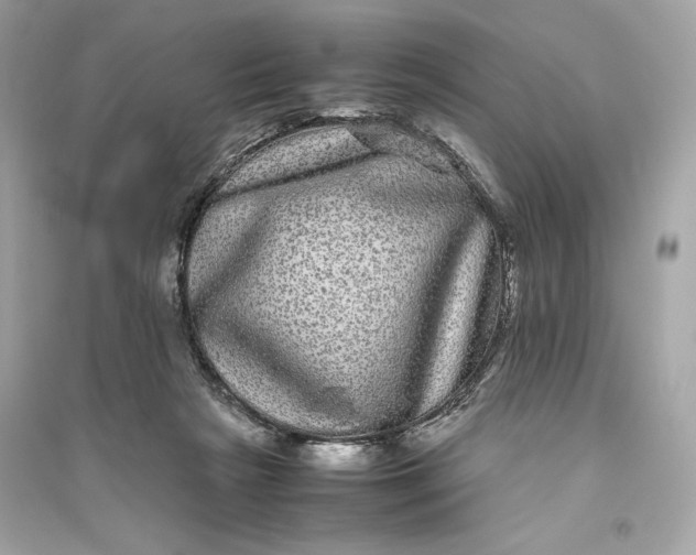 X0000094820265200711301636