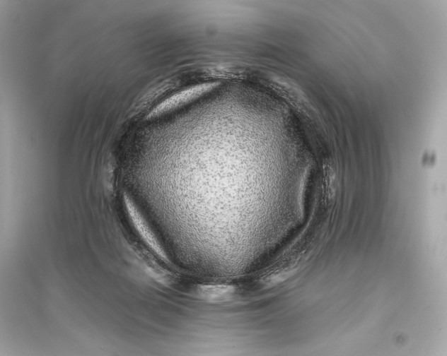 X0000094820266200711301636