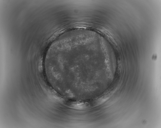 X0000094820267200711301636