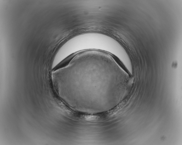 X0000094820268200711301636