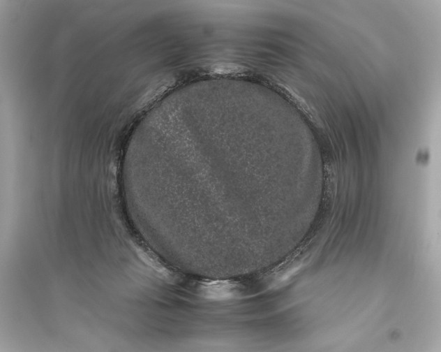 X0000094820269200711301636