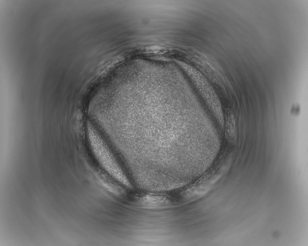 X0000094820270200711301636