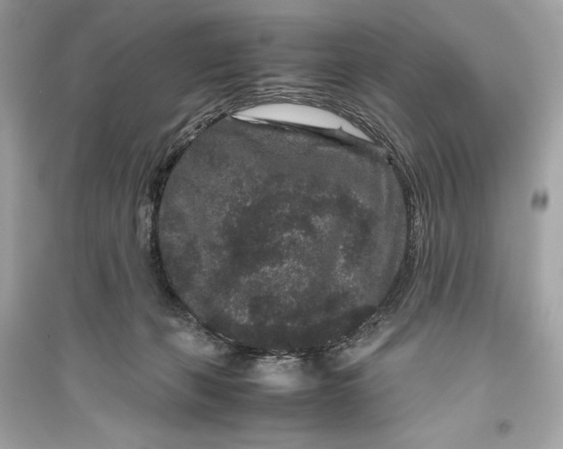 X0000094820271200711301636