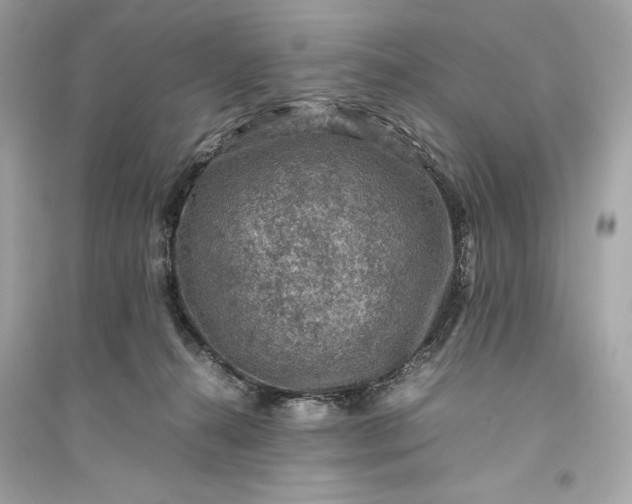 X0000094820272200711301636