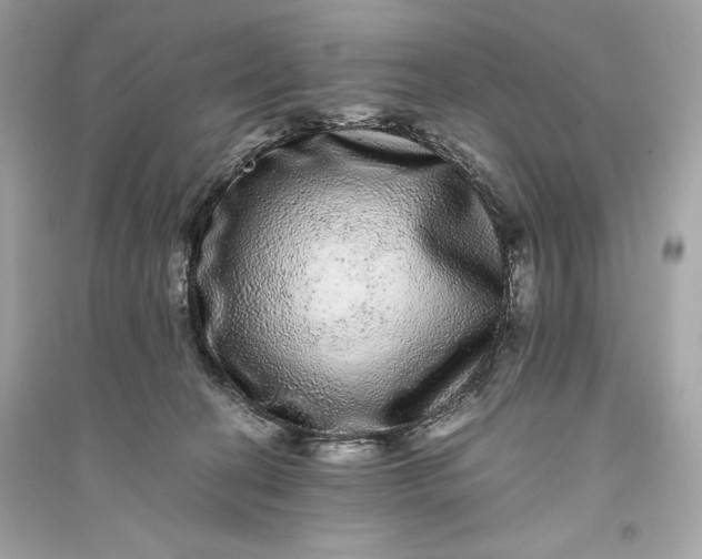 X0000094820274200711301636