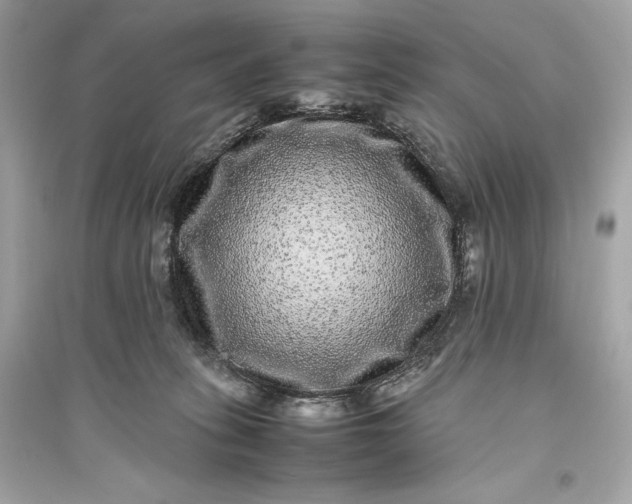 X0000094820275200711301636