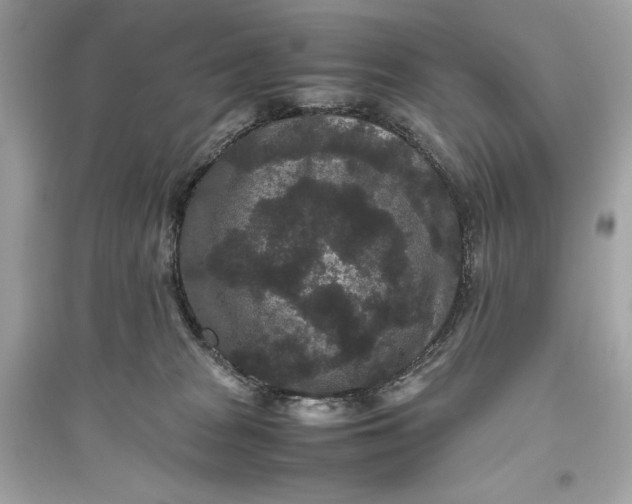 X0000094820277200711301636