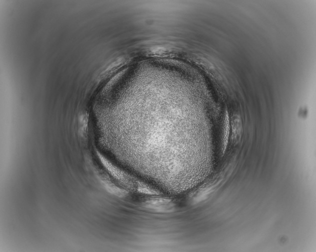 X0000094820278200711301636