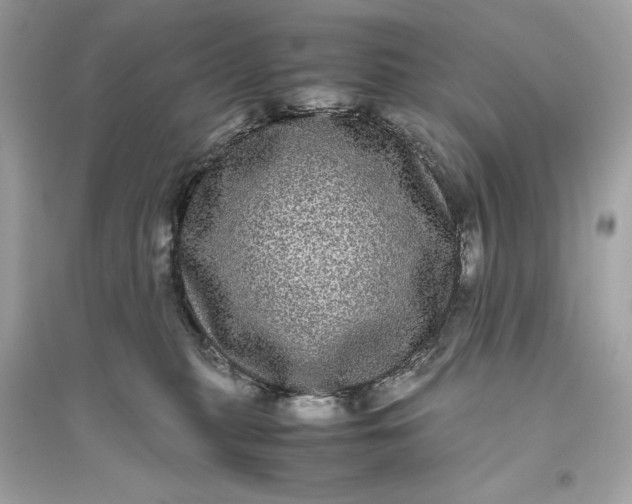 X0000094820279200711301636