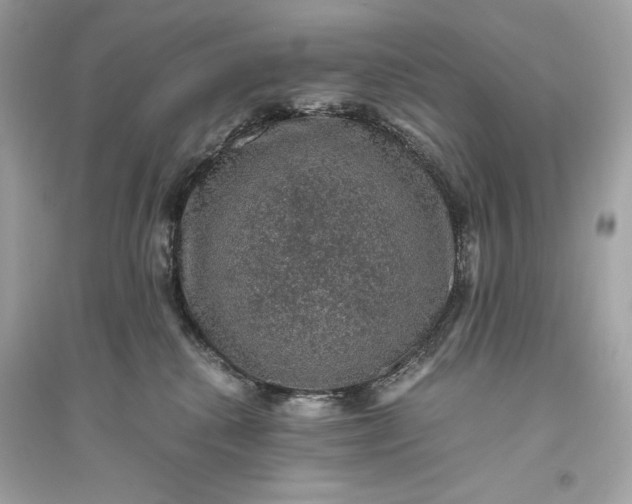 X0000094820280200711301636