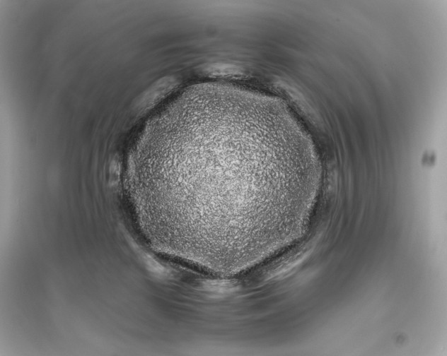 X0000094820281200711301636