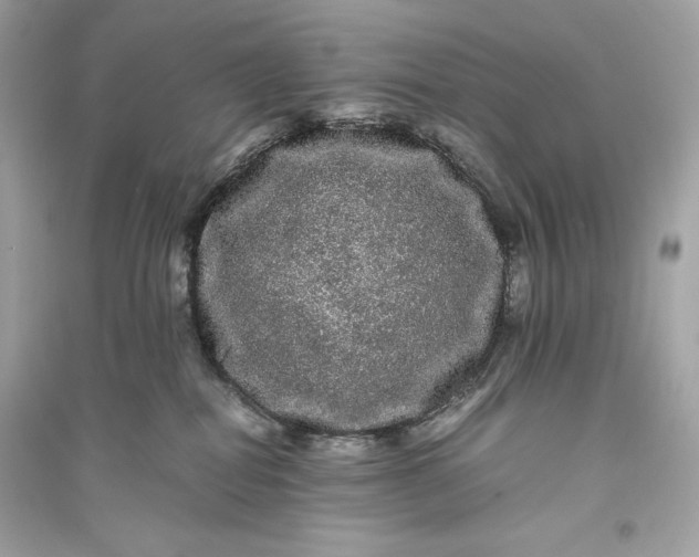 X0000094820282200711301636