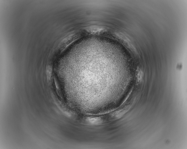 X0000094820283200711301636