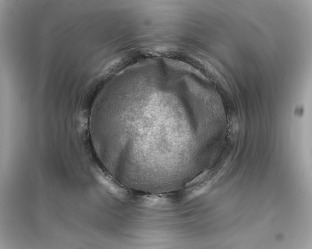 X0000094820284200711301636