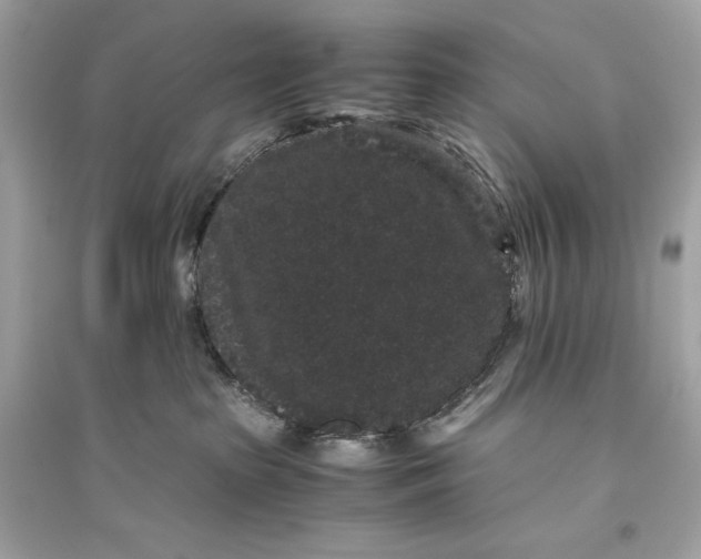 X0000094820285200711301636