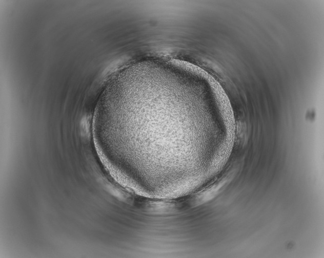 X0000094820286200711301636