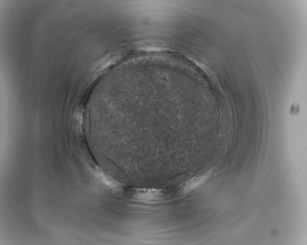 X0000094820288200711301636