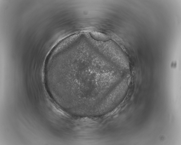 X0000094820290200711301636