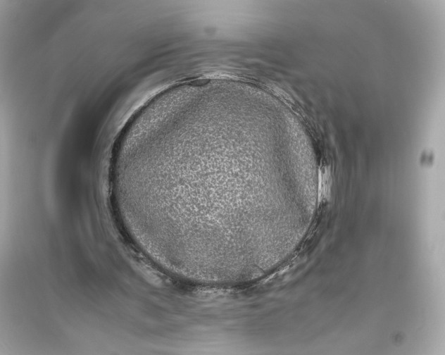 X0000094820291200711301636