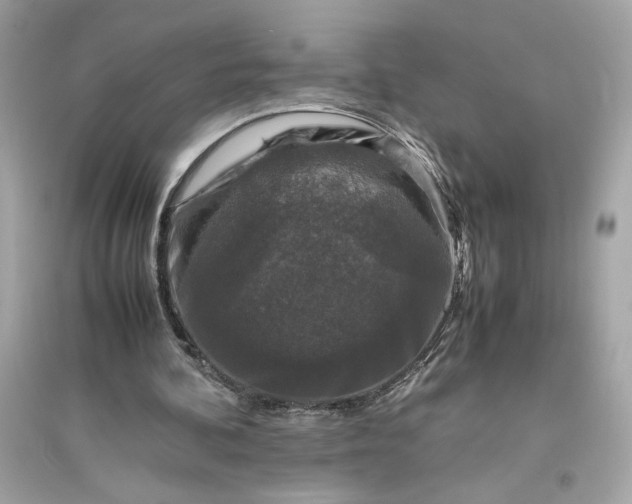 X0000094820292200711301636