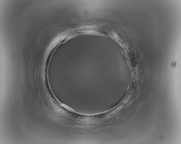 X0000094820293200711301636